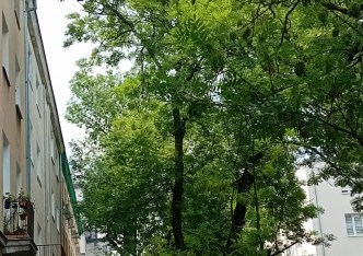 mieszkanie na sprzedaż - Warszawa, Mokotów, Stary Mokotów